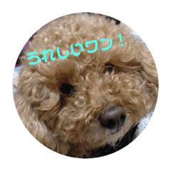Hana_20190413211849