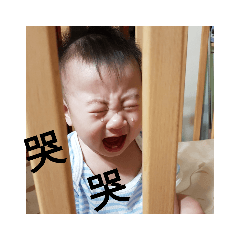 李毛豆