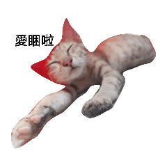 貓&狗&蝦&鼠 日常