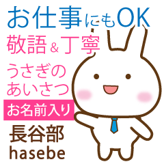 [HASEBE]Polite greeting. Rabbit