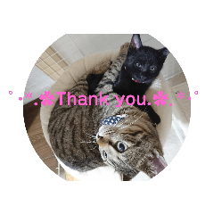 Tony_20190413232532