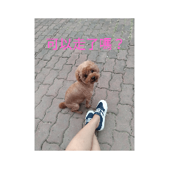 陳Q比