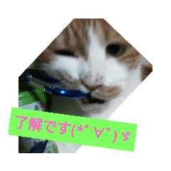 sasa_20190413233854