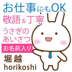 [HORIKOSHI]Polite greeting. Rabbit