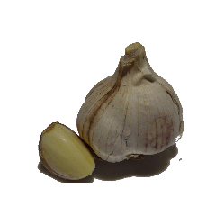 garlic!.