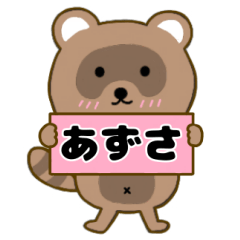 Raccoon3 Azusa
