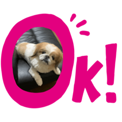 seira_20190413233157