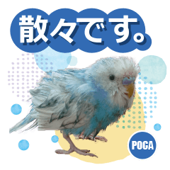 Sakai's bird heartwarming sticker