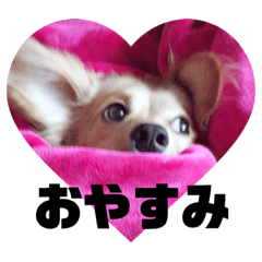 Hm0086_20190413235710