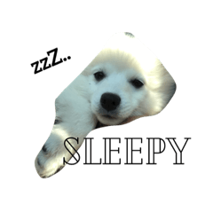 Sakura's sticker!2019