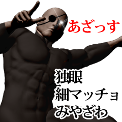 Miyazawa hoso muscle