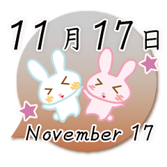 Rabbit November 17