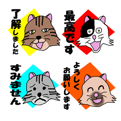 Everytime Cat Stickers 2