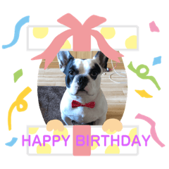 saori_20190411142459