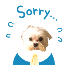 將將與咖喱的日常用語