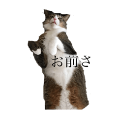 narimi_20190410221114