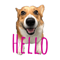 燦燦店長的生活