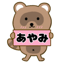Raccoon3 Ayami