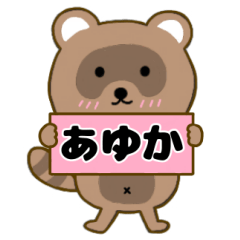 Raccoon3 Ayuka