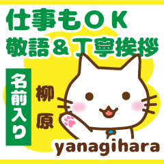 [YANAGIHARA]Polite greeting. animal Cat