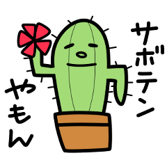 Life with cactus