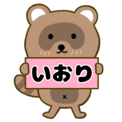 Raccoon3 Iori