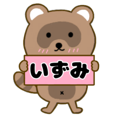Raccoon3 Izumi