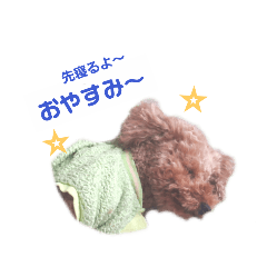 cocoa_20190411194852