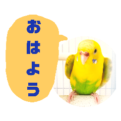 Lemon,s mystamp