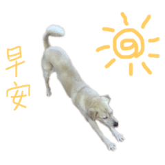 Xiao Rou 2