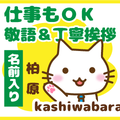 [KASHIWABARA]Polite greeting. animal Cat