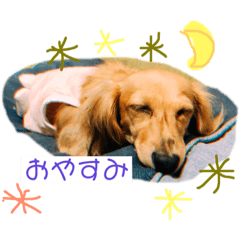 suzu_20190411221415
