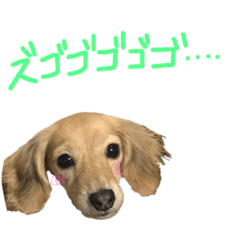 Nagi_20190411230603