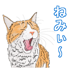 Chabi & Ichiro Cat Sticker ver.2