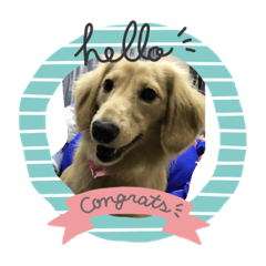 架古錐欸小朋友