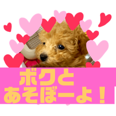 RISA_20190412172233