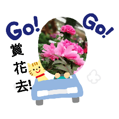 花花貼