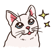 It is a cat of my house.