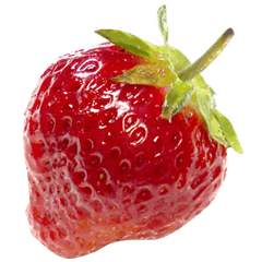 潔西女孩-草莓