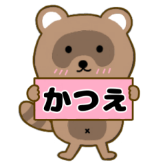 Raccoon3 Katue