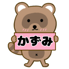 Raccoon3 Kazumi
