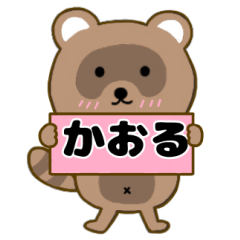 Raccoon3 Kaoru