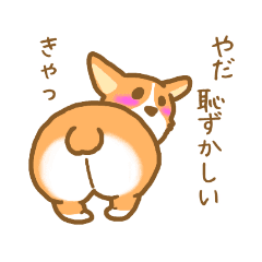 コーギーだよ Line スタンプ Line Store コーギーだよ Line スタンプ Line Store