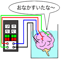 Brain In A Vat Line Stickers Line Store