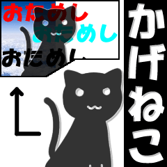 Shadow cat (Japanese)