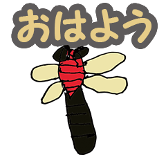 Serious japanese cute Dragonfly