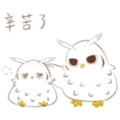 Adorkable owl-hey hey