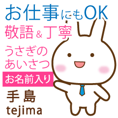 [TEJIMA]Polite greeting. Rabbit