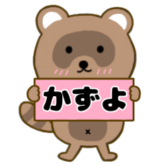 Raccoon3 Kazuyo