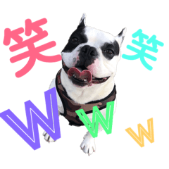 saori_20190412231815